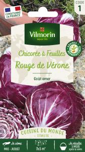 Chicorée à Feuilles Rouge de Vérone